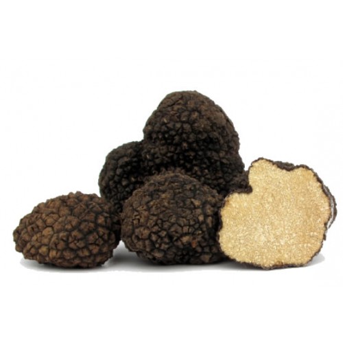 Fresh Black Summer Truffles Extra grade Truffle House