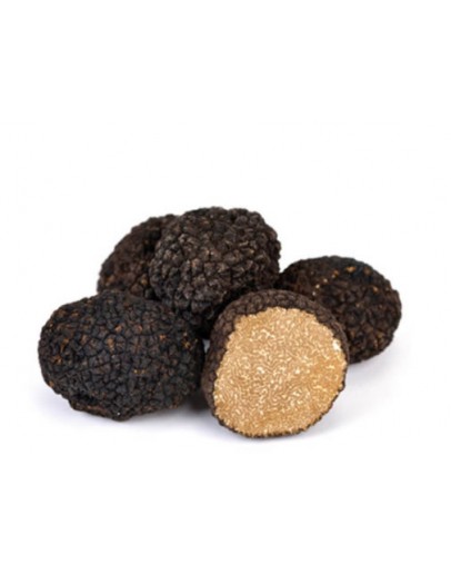 Fresh black summer truffles A-grade-image-alt