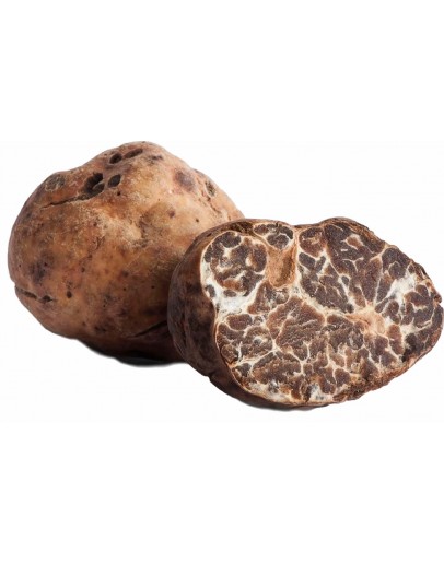 Fresh White Truffle | Tuber Borchii (A-grade) image