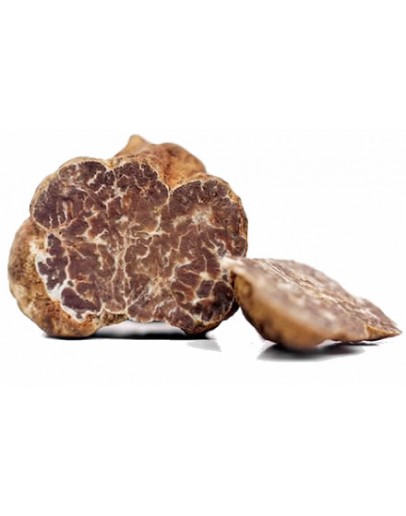 Fresh White Truffle | Tuber Borchii (B-grade) image