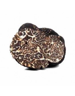 Fresh black winter truffles Brumale A-grade 