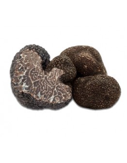 Fresh black winter truffles Brumale B-grade
