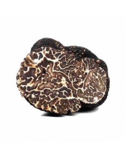 Fresh Black Winter Truffle | Tuber Brumale (A-grade) image