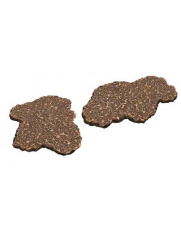 King of Black Truffles: Get Fresh Perigord Black Truffles