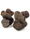 Fresh Black Truffle | Tuber Melanosporum (Broken Pieces)