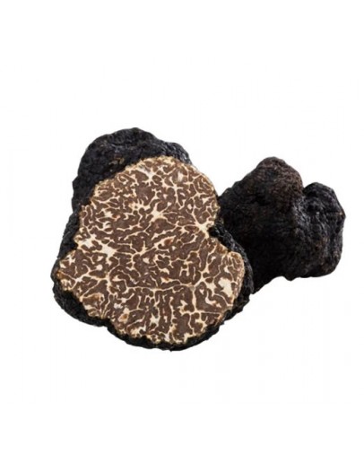 Showing image for Fresh Bagnoli Truffle Mesentericum A-grade Fresh Bagnoli Truffle Mesentericum A-grade Types of truffles, Fresh Tuber Mesentericum image