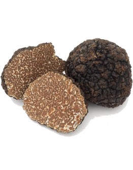 Fresh black Burgundy truffles Uncinatum A-grade 