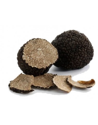 Fresh black Burgundy truffles Uncinatum B-grade image