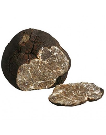 Fresh Smooth Black Truffle Macrosporum A-grade Fresh Truffles, Types of truffles, Fresh Tuber Macrosporum image