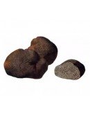 Fresh Smooth Black Truffle Macrosporum A-grade Fresh Truffles, Types of truffles, Fresh Tuber Macrosporum image