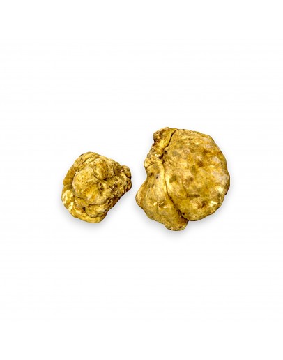 Fresh White Truffle | Tuber Magnatum pico (Medium size) image