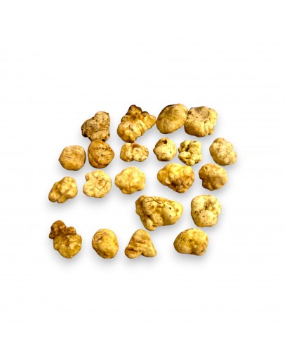 Fresh White Truffle | Tuber Magnatum pico (Small size) image