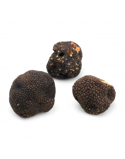 A-grade Fresh Burgundy Truffle (Tuber Uncinatum) image