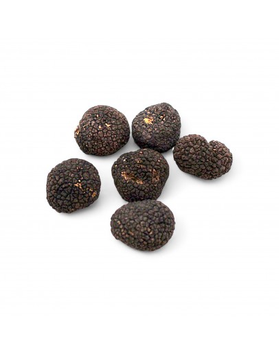 C-grade Fresh Burgundy Truffle (Tuber Uncinatum) image