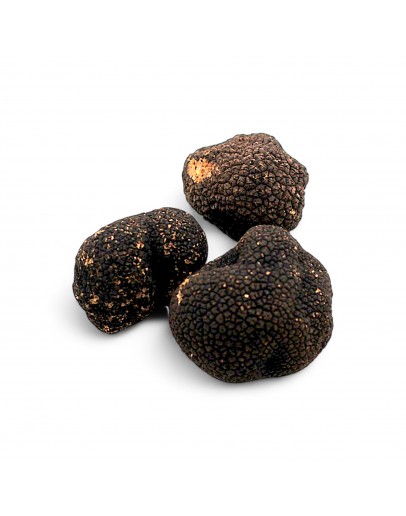 Extra grade Fresh Burgundy Truffle (Tuber Uncinatum) image