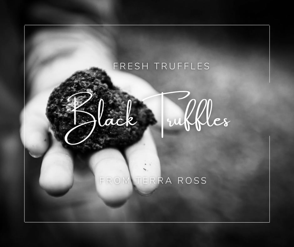 Fresh Truffles Gift for my love