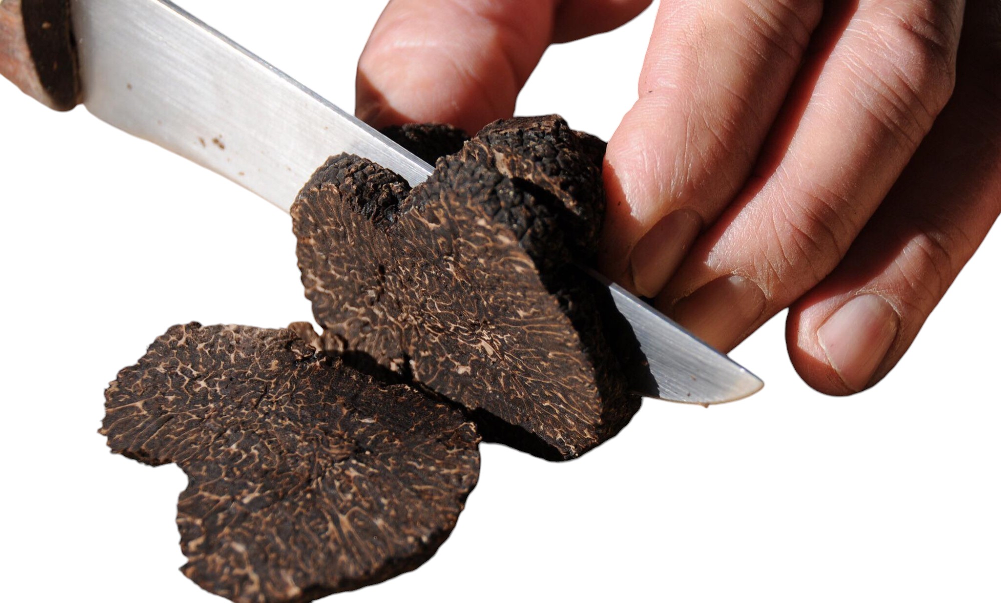 Fresh Black Truffles Melanosporum Slices